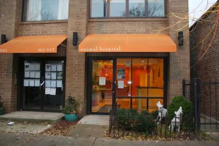 My Vet Animal Hospital