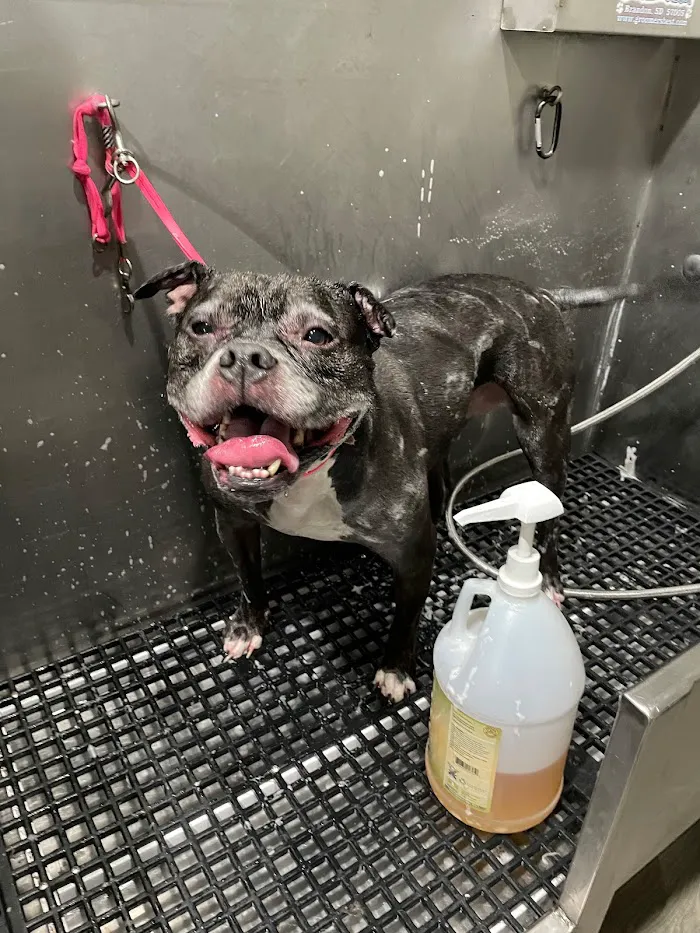 Duke Animal Hospital 12