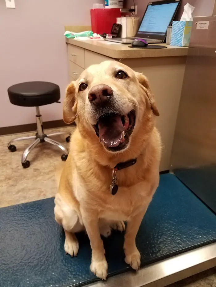 Duke Animal Hospital 12