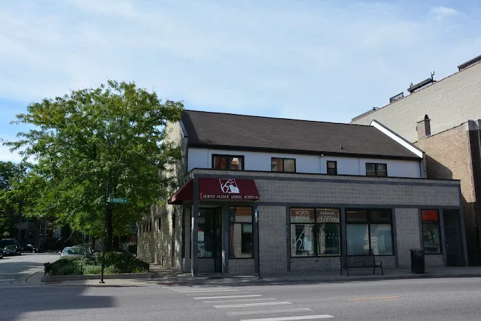 North Avenue Animal Hospital 6