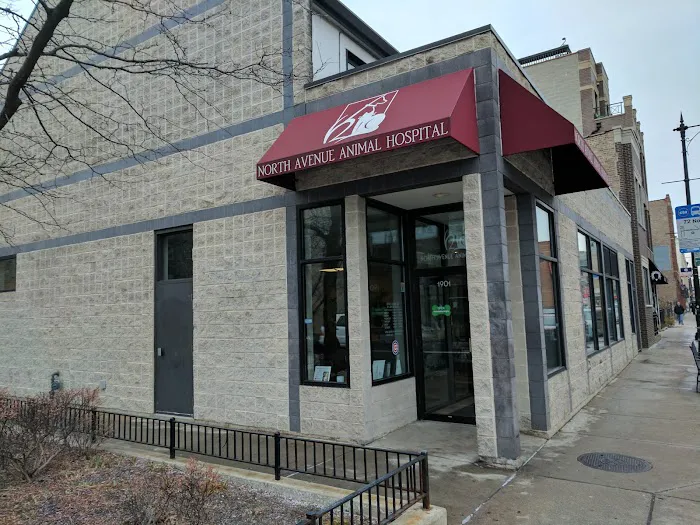 North Avenue Animal Hospital 5