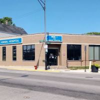 VCA Ark Animal Hospital ico