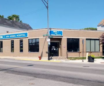 VCA Ark Animal Hospital