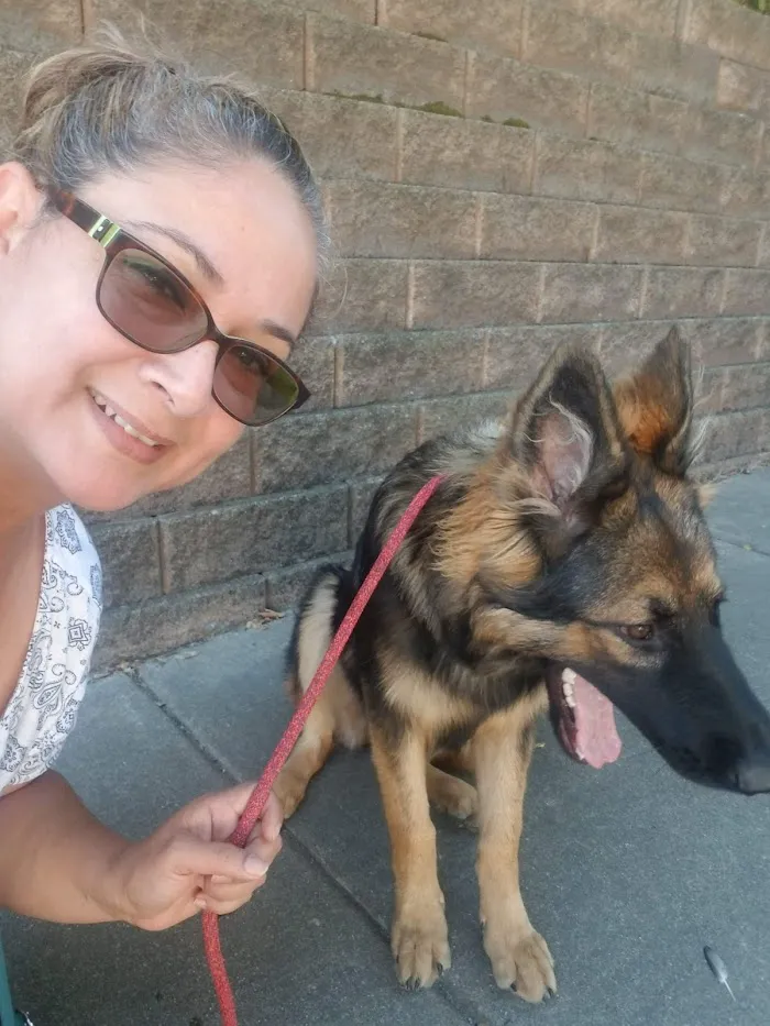 VCA Ark Animal Hospital 12