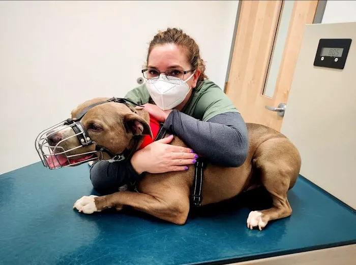 Heal Veterinary Clinic 12