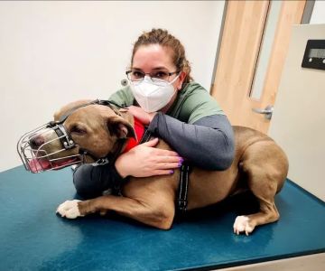 Heal Veterinary Clinic