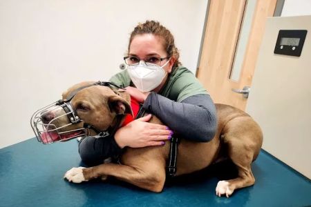 Heal Veterinary Clinic