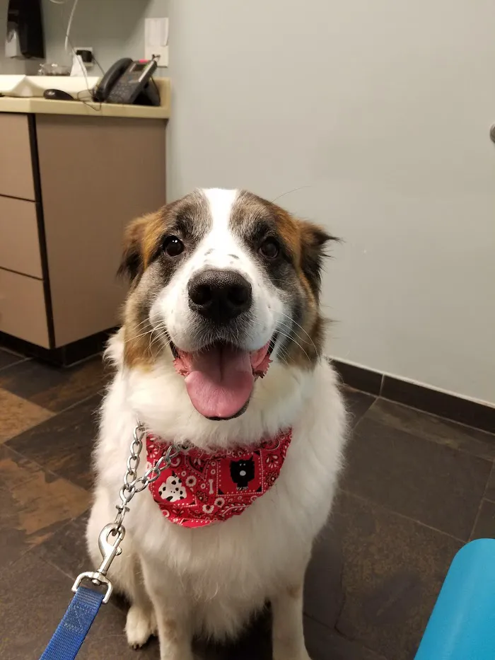 Heal Veterinary Clinic 12