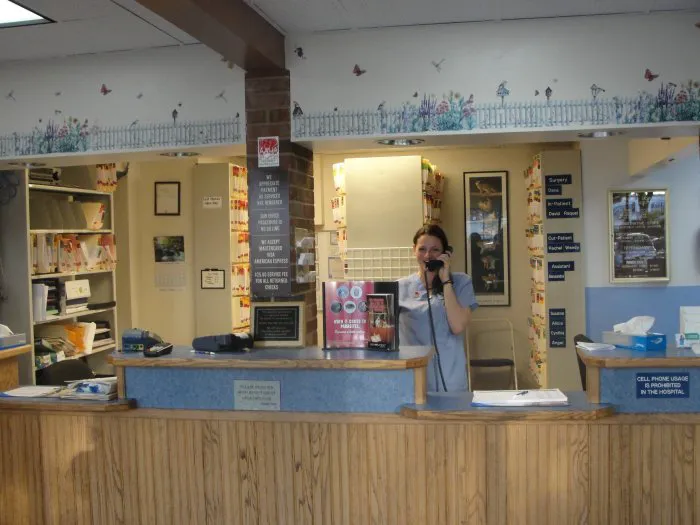 VCA Chicago North Animal Hospital 2
