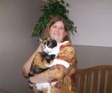 VCA Chicago North Animal Hospital