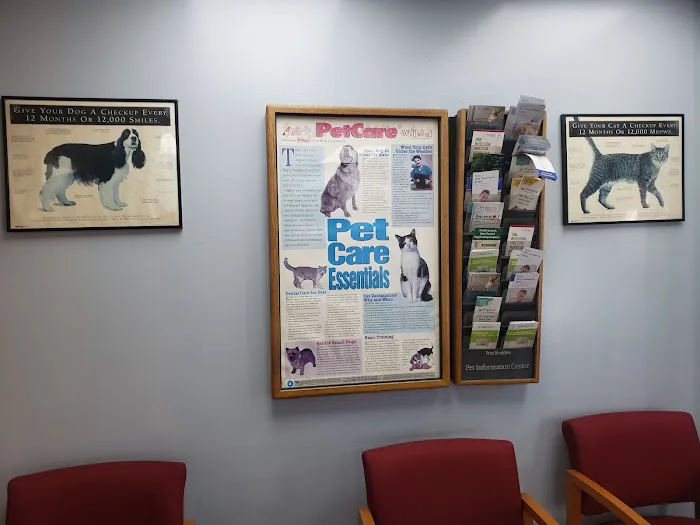 Logan Square Animal Hospital 12