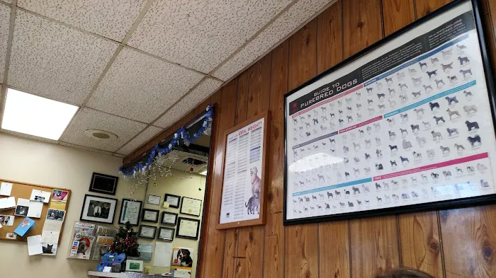 Logan Square Animal Hospital 12