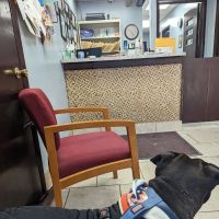 Logan Square Animal Hospital ico