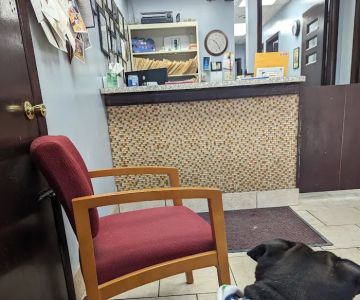 Logan Square Animal Hospital