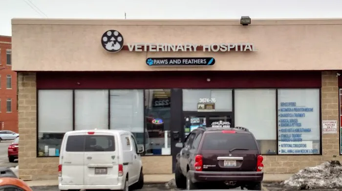 Paws and Feathers Veterinary Clinic Inc 12