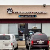 Paws and Feathers Veterinary Clinic Inc ico