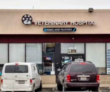 Paws and Feathers Veterinary Clinic Inc