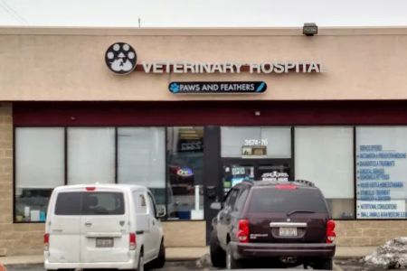 Paws and Feathers Veterinary Clinic Inc