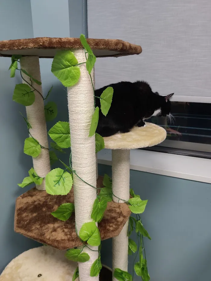 Paws and Feathers Veterinary Clinic Inc 12