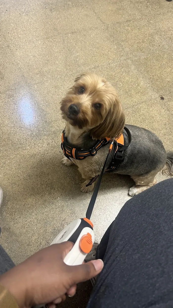 Vetco Total Care Animal Hospital 12