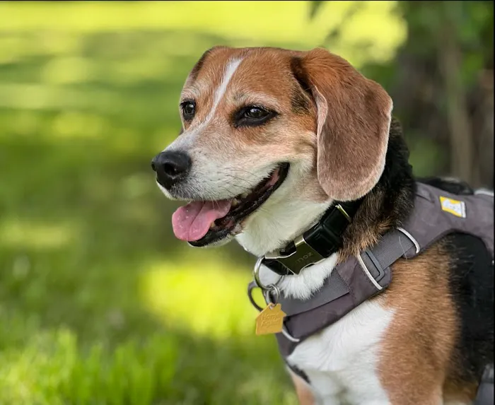 Vetco Total Care Animal Hospital 12