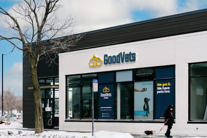 GoodVets Uptown (Chicago) 6