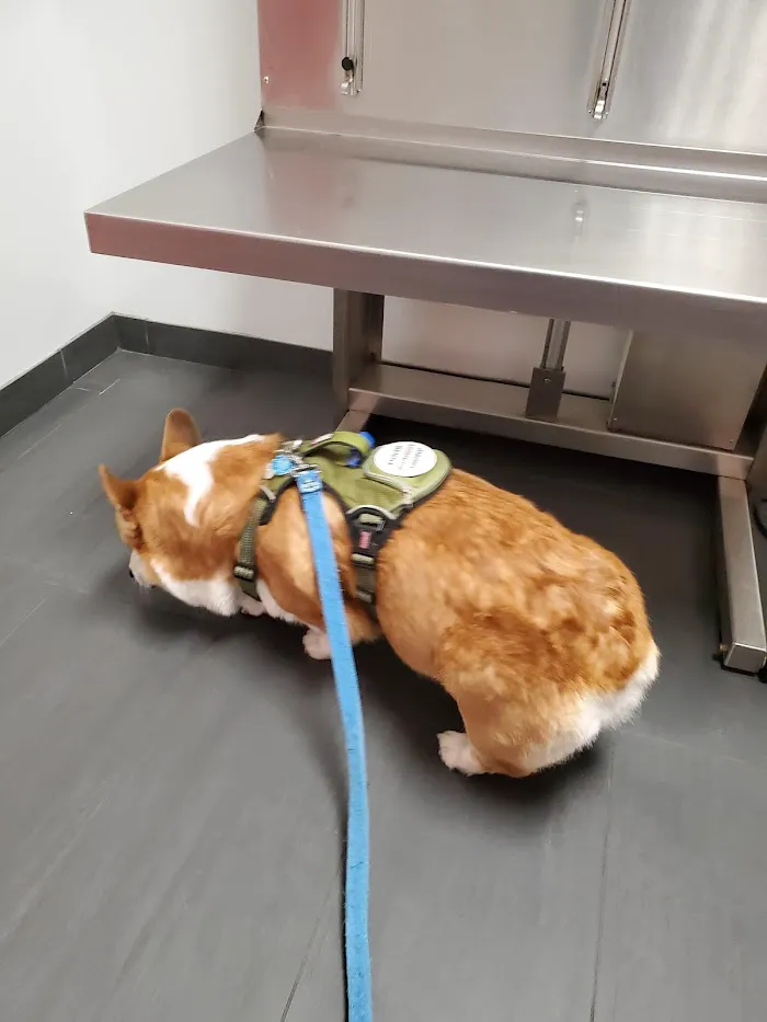 Burnham Park Animal Hospital 12