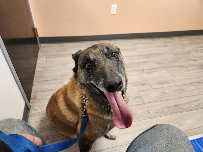 Burnham Park Animal Hospital 12