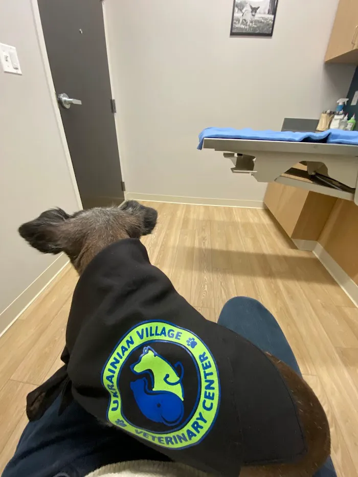 Ukrainian Village Veterinary Center 12