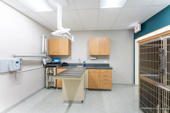 Ukrainian Village Veterinary Center 12