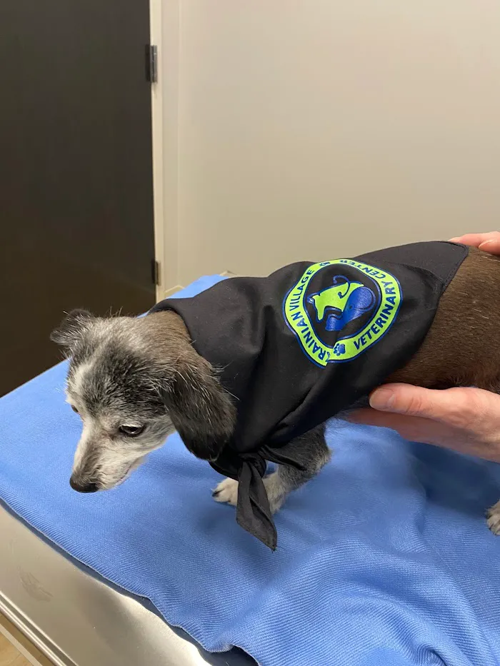 Ukrainian Village Veterinary Center 12