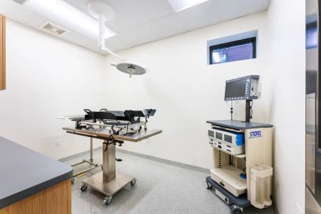 Ukrainian Village Veterinary Center