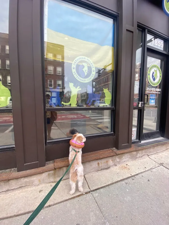 Ukrainian Village Veterinary Center 12
