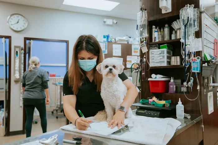 Metropolitan Veterinary Center 1