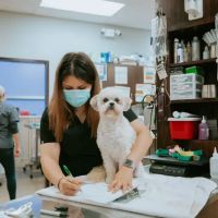 Metropolitan Veterinary Center ico