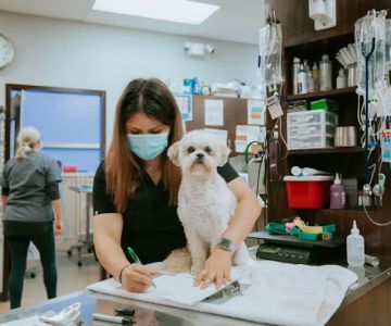 Metropolitan Veterinary Center
