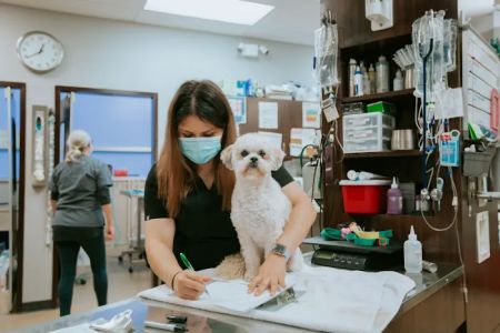 Metropolitan Veterinary Center