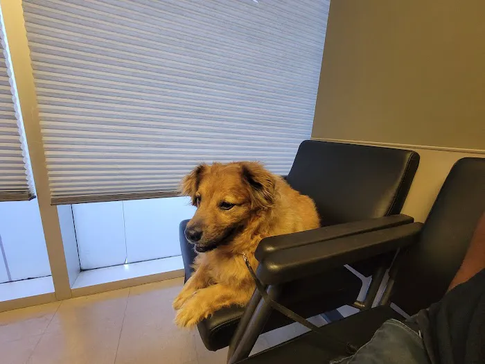 Metropolitan Veterinary Center 8