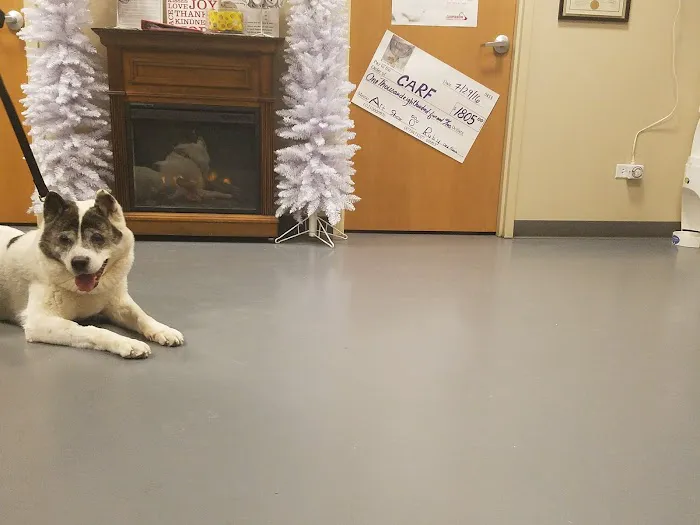 Village West Veterinary 6