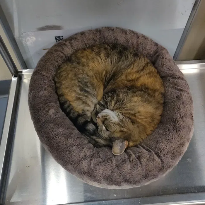 Village West Veterinary 2
