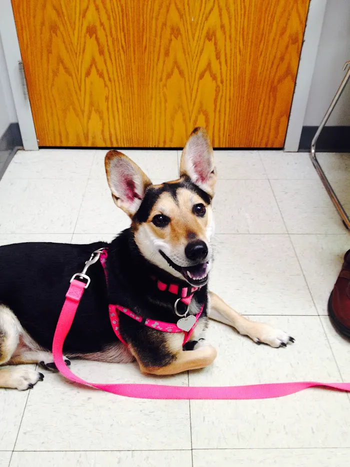 Village West Veterinary 9