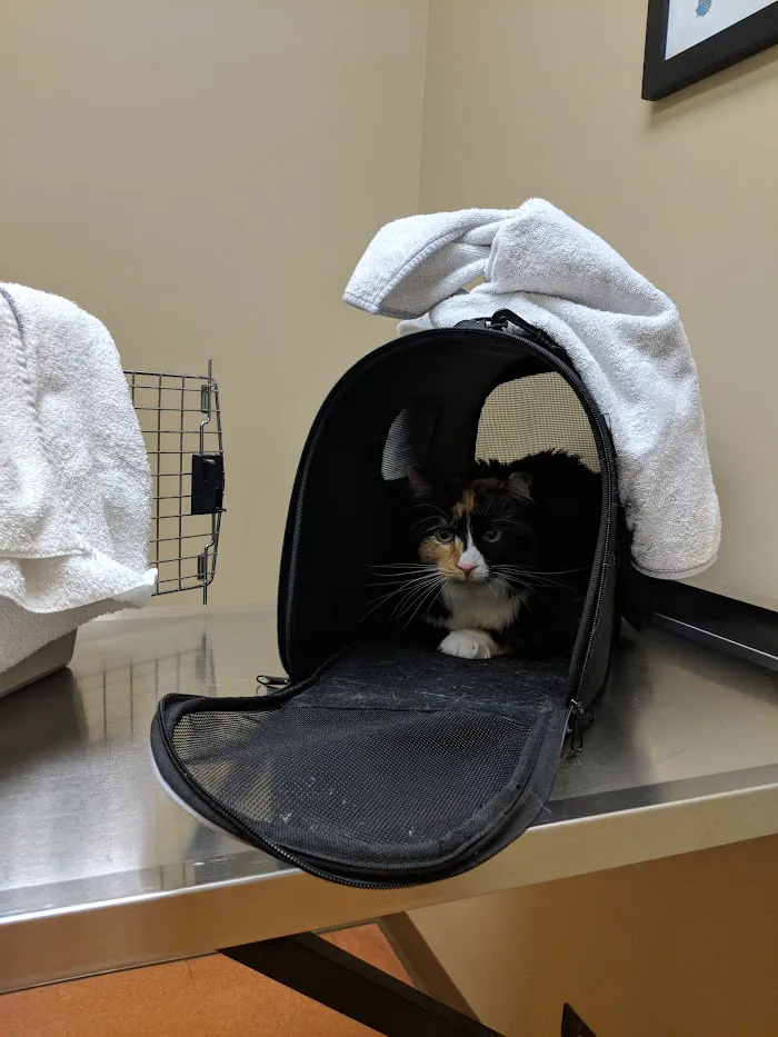 Wicker Park Veterinary Clinic 6