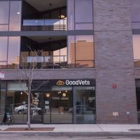 GoodVets Lakeview ico