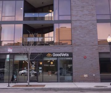 GoodVets Lakeview