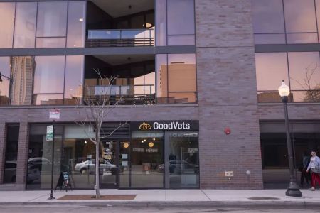 GoodVets Lakeview