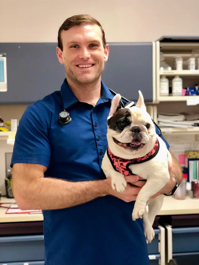 Medical District Veterinary Clinic at Illinois 12