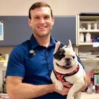 Medical District Veterinary Clinic at Illinois ico