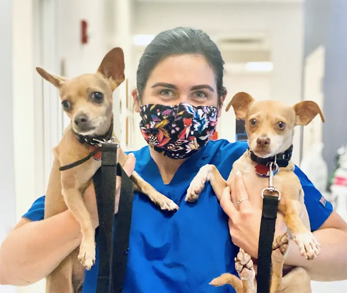 Medical District Veterinary Clinic at Illinois 12
