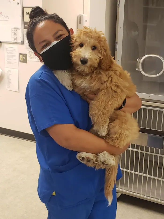 Medical District Veterinary Clinic at Illinois 12