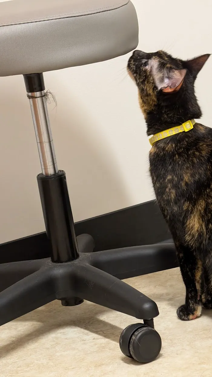 Medical District Veterinary Clinic at Illinois 12